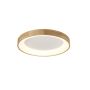 AZzardo SILVAM AZ2697 Plafonnier 1x30W/LED 1950LM