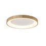 AZzardo SILVAM AZ2698 Plafonnier 1x50W/LED 3250LM