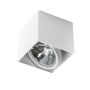 AZzardo ALEX2V AZ1359 Spot en saillie 1x50W/QR111 IP20