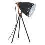 Italux FRANKLIN ML-HN2278-B+RC Lampadaire 1x60W/E27