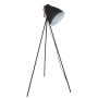 Italux FRANKLIN ML-HN3068-B+RC Lampadaire 1x60W/E27