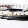 Milagro LED STRIP ML4752 Ruban LED 24W/500cm IP65