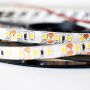 Milagro LED STRIP ML4756 Ruban LED 48W/500cm IP65