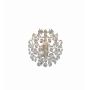 Markslojd ROSENDAL 102334 Applique murale 1x40W/E14