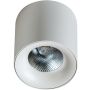 AZzardo MANE AZ4152 Spot en saillie 1x20W/LED 3000K IP20