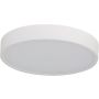 Azzardo PANDINO AZ6589 plafon sufitowy 1x24w/led  2800k/4000k/6000k ip44