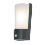 Elstead Lighting SECURITY LANTERS AZ-LE7-D-GRY-PIR Applique murale 1x18W/LED IP44