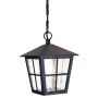 Elstead Lighting CANTERBURY BL48M-BLACK Suspension lumineuse 1x60W/E27 IP43