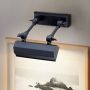 Elstead Lighting CHAWTON CHAWTON-PLS-BLK Lampe pour tableau 1x40W/E14