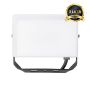 Eko Light FLOODLIGHT EKN9015 Projecteur halogène 1x30W/LED 5000K 3000lm IP65