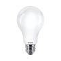 Eko-Light BULB EKZPH616 Ampoule 1x17.5W/E27 6500K 2452LM