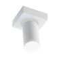 Antigo Tarumi 7971 Spot 1x10W/GU10 IP20