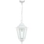 Novolux ELITE 6 096C-G05X1A-01 Suspension lumineuse 1x42W/E27 IP43
