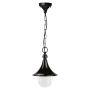 Novolux TROM 332G-G05X1A-02 Suspension lumineuse 1x42W/E27 IP43