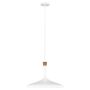 Feiss DARWIN FE-DARWIN-P Suspension lumineuse 1x60W/E27