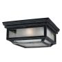 Feiss SHEPHERD FE-SHEPHERD-F Plafonnier 2x75W/E27 IP44