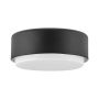 Hinkley Lighting Cedric HK-CEDRIC-F-S-BK Plafonnier 2x40W/E27 IP20
