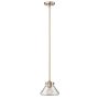 Hinkley Lighting CONGRESS HK-CONGRESS-P-A-BC Suspension lumineuse 1x60W/E27