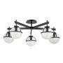 Hinkley Lighting Hollis HK-HOLLIS-5-C-BK Lampe de plafond 5x40 W/E14 ip44