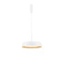 Luces Exclusivas CARACOLLO LE44813 Suspension lumineuse 1x40W/led 3000k IP20 3111lm
