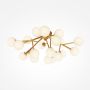 Maytoni DALLAS MOD545CL-20BS Lampe de plafond 20x28W/G9 IP20
