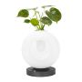 King Home BOTANICA MT80531-1-1-200 Lampe de table 1x0,5W/LED 3000K 460LM IP20