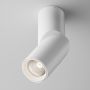 Maytoni DAFNE C027CL-L10W4K Spot 1x10W/LED 4000K 1060LM IP20