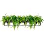 King Home SEMIRA INDUSTRIAL OSW001005 Suspension lumineuse 6x40W/E27 IP20