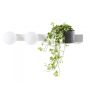Kaspa BOTANICA DECO 20852201 Applique murale 2x9W/E14 IP20