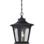 Quoizel BEDFORD QZ-BEDFORD8-S Suspension lumineuse 1x60W/E27 IP44