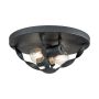 Quoizel Bradbury QZ-BRADBURY-F-GK Plafonnier 2x60W/E14