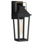 Quoizel Buckley QZ-BUCKLEY-M-MBK Applique murale 1x40W/E27 IP44