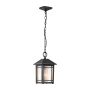 Quoizel Cedar Point QZ-CEDAR-POINT8-M-BK Suspension lumineuse 1x60W/E27 IP44