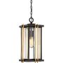Quoizel GOLDENROD QZ-GOLDENROD8-M Suspension lumineuse 1x60W/E27 IP23