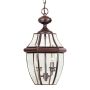 Quoizel NEWBURY QZ-NEWBURY8-L-AC Suspension lumineuse 2x60W/E14 IP44