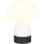 Trio DOOLEY R54981131 Lampe de table 1x1.5w/led 3000k 140lm ip20
