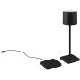 Trio FERNANDEZ R54096132 Lampe de table 1x1w/led 2700+4000+6000K 130lm ip54