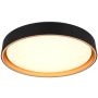 Trio FELIS R64391080 Lampe de plafond 1x24w/led 2700-6500k 2500lm ip20
