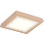 Argon TABOR 7267 Lampe de plafond 2x15W/E27 ip20