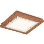 Argon TABOR 7268 Lampe de plafond 2x15W/E27 ip20