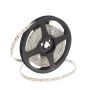 SMD LED HOMEline TAS4793SLL Ruban LED 120x9,7W/m/LED 4000K 880 lm/m IP20