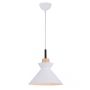 Zambelis PENDANT LAMP 180066 Suspension lumineuse 1x40w/E27 IP20