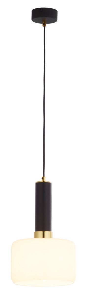 Jupiter-VANES-1852-JUP1852