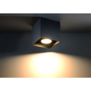 Sollux QUAD SL.0022 Spot en saillie 1x40W/GU10