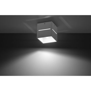 Sollux LOBO SL.0209 Spot en saillie 1x40W/G9