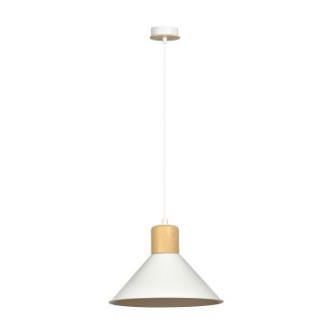Emibig ROWEN 1045/1 Suspension lumineuse 1x15W/E27 IP20