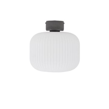 Nowodvorski AURORA 11971 Lampe de plafond 1x25W/E27 IP20