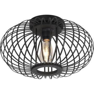 Paul Neuhaus RACOON 11410-18 Lampe de plafond 5x40W/E27 ip20