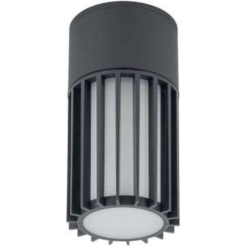 TK Lighting RIBO 11508 Spot en saillie 1x15W/E27 IP54