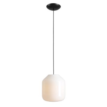 Aldex FLASK ORCHID L 8500G1_L Suspension lumineuse 1x15W/E27